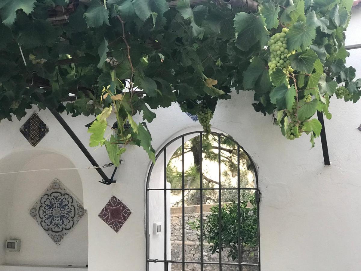 Il Paradiso Di Giacomo Erice Extérieur photo
